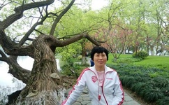 最近更新中文字幕2019高清一页